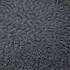 Leonardo Assiettes Matera III (lot De 6) -Le Coin Cuisine 1000262410 230317 031 DETAILS P000000001000262410