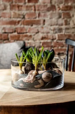 Glamour Saladier 24 cm -Le Coin Cuisine 860d1a29b7564af89b07d7b5245f1a32